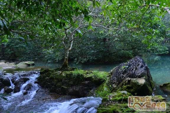 “坪”水相逢 干群相融